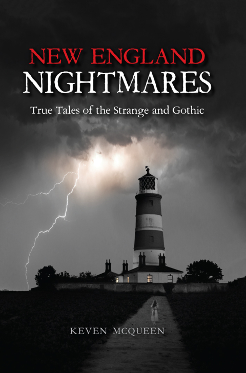 Cover image for book New England Nightmares