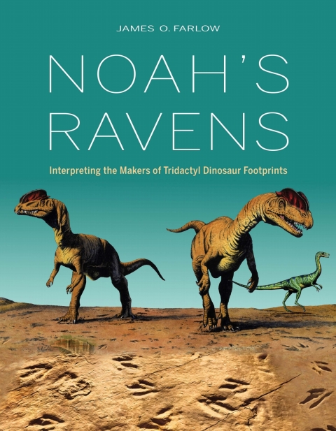 Cover image for book Noah's Ravens