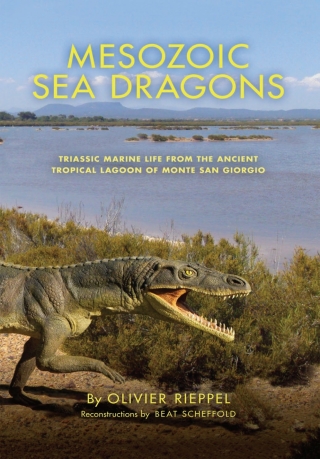 Mesozoic Sea Dragons