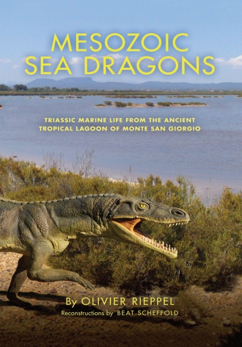 Cover image for book Mesozoic Sea Dragons