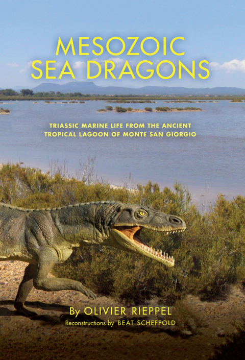 Cover image for book Mesozoic Sea Dragons