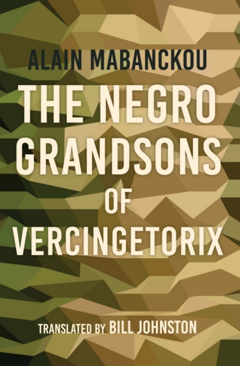 The Negro Grandsons of Vercingetorix 