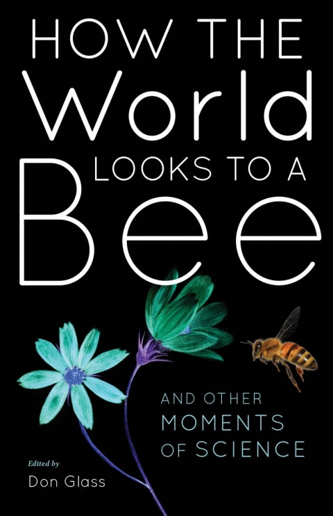 Cover image for book How the World Looks to a Bee