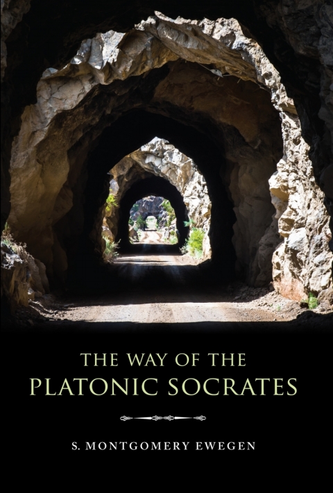 Cover image for book The Way of the Platonic Socrates