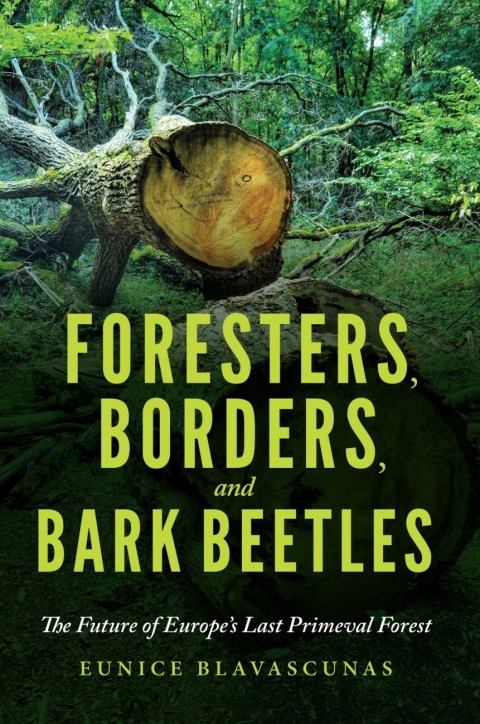 Cover image for book Foresters, Borders, and Bark Beetles