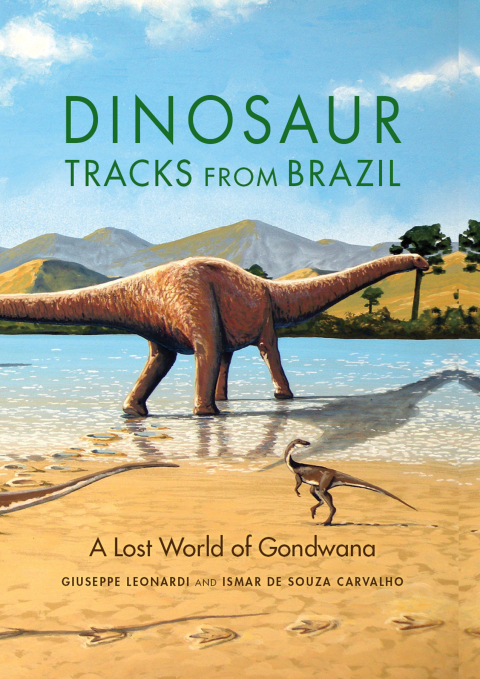 Cover image for book Dinosaur Tracks from Brazil