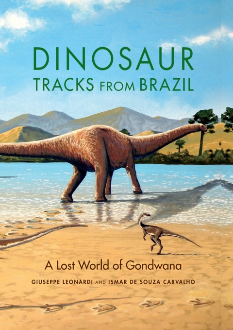 Cover image for book Dinosaur Tracks from Brazil