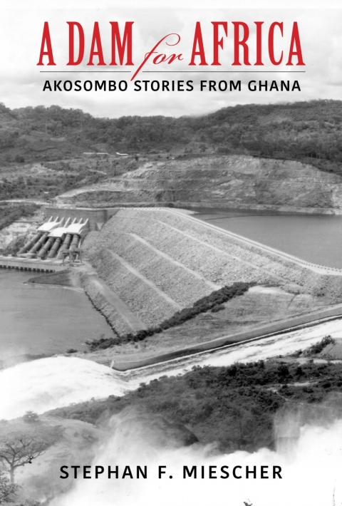 Cover image for book A Dam for Africa