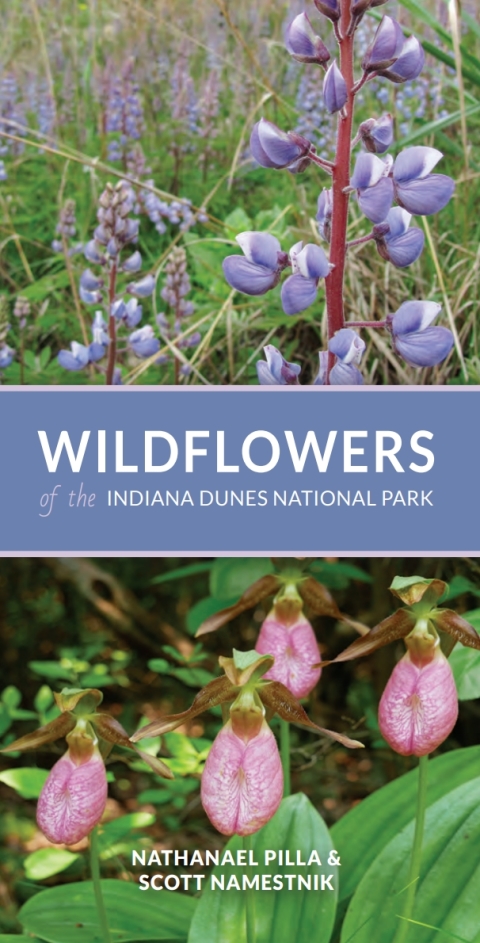 Wildflowers of the Indiana Dunes National Park 