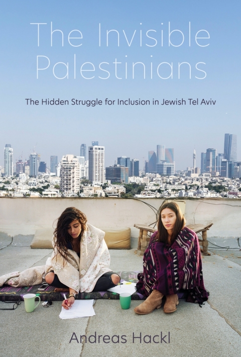 Cover image for book The Invisible Palestinians
