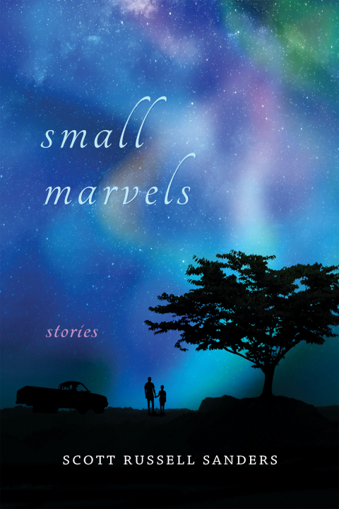 Cover image for book Small Marvels