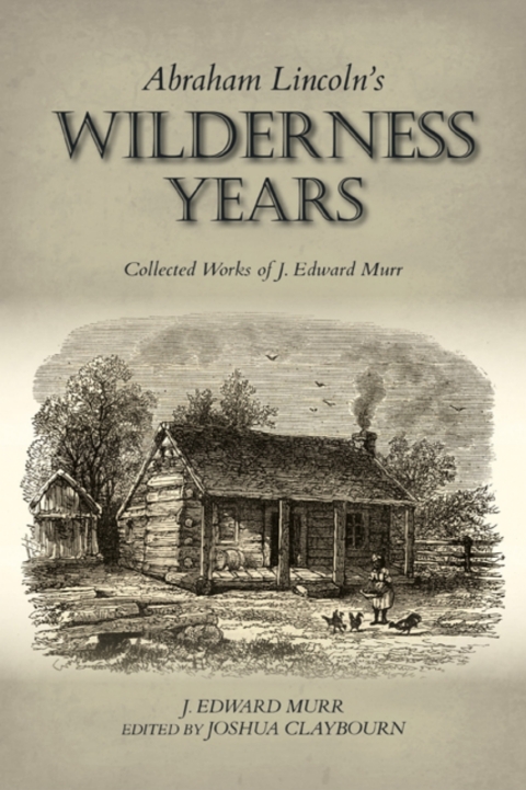 Cover image for book Abraham Lincoln's Wilderness Years
