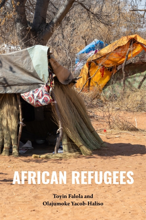 Cover image for book African Refugees