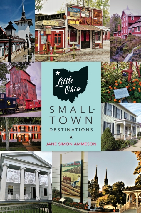 Cover image for book Little Ohio
