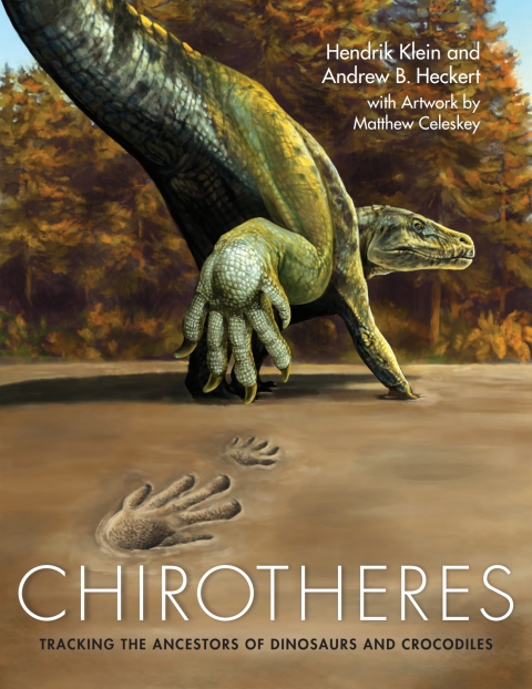 Cover image for book Chirotheres