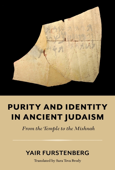Cover image for book Purity and Identity in Ancient Judaism