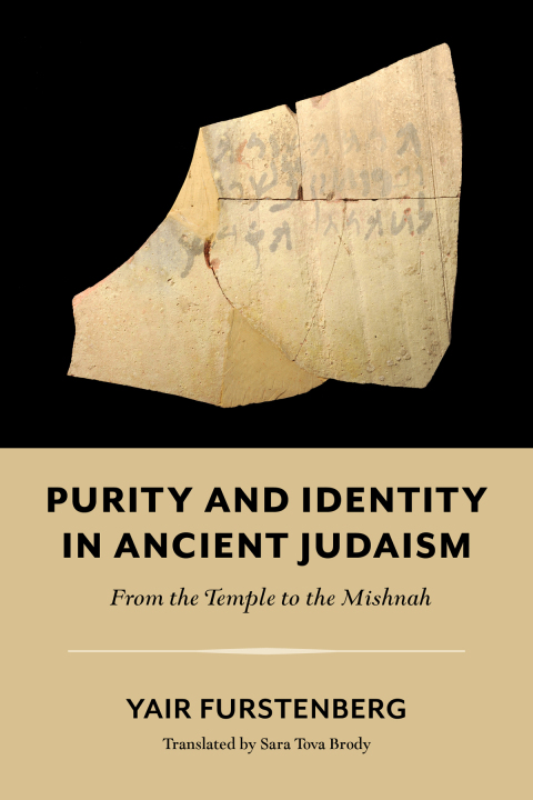 Cover image for book Purity and Identity in Ancient Judaism