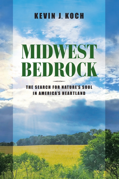 Cover image for book Midwest Bedrock