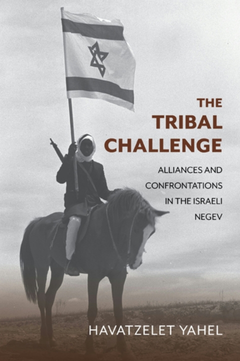 Cover image for book The Tribal Challenge