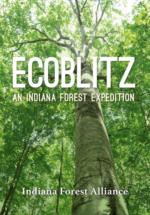 Cover image for book Ecoblitz