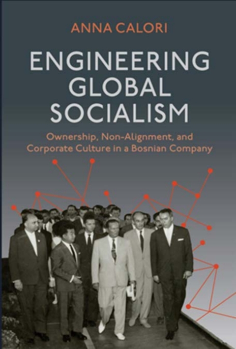 Cover image for book Engineering Global Socialism
