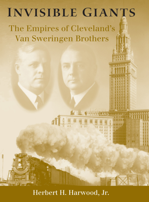 Cover image for book Invisible Giants