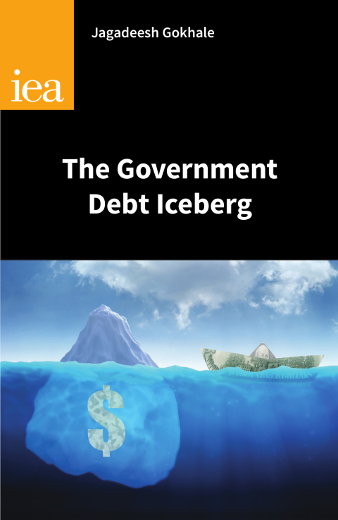 Cover image for book The Government Debt Iceberg
