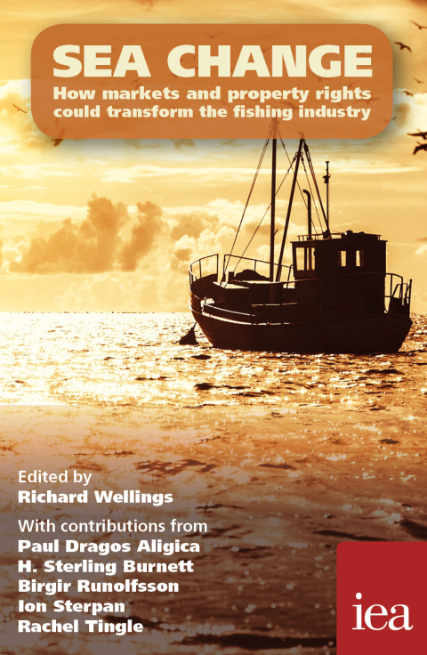 Cover image for book Sea Change