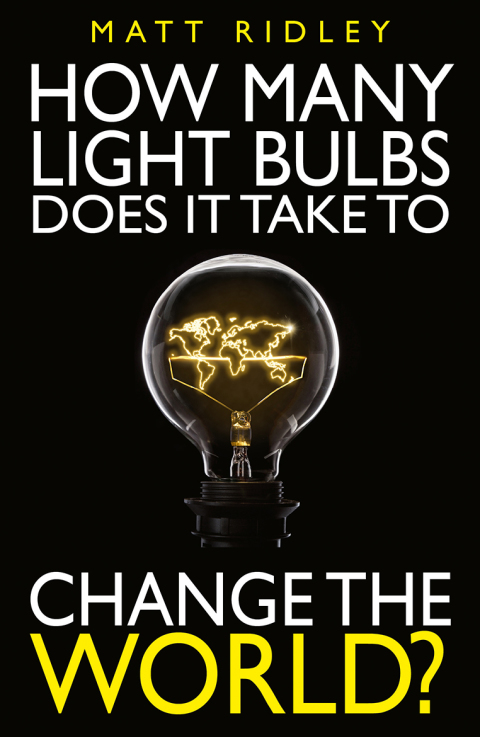 Cover image for book How Many Light Bulbs Does It Take to Change the World?