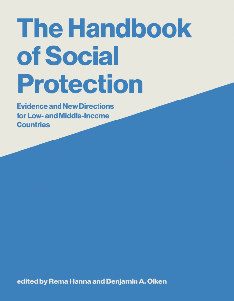 Cover image for book The Handbook of Social Protection