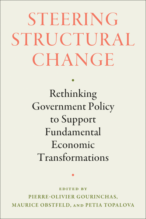 Cover image for book Steering Structural Change