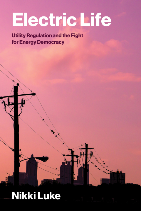 Cover image for book Electric Life