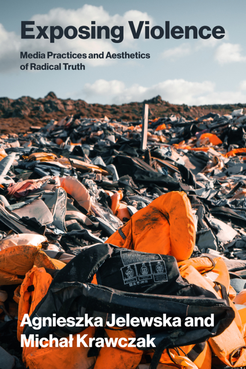 Cover image for book Exposing Violence