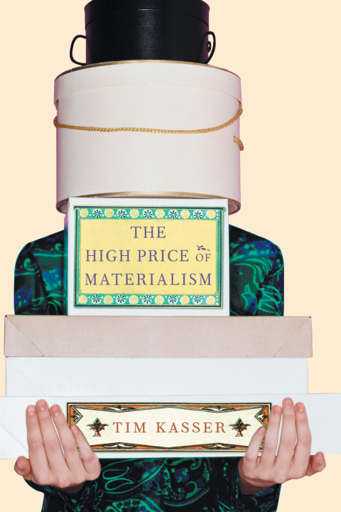 Cover image for book The High Price of Materialism