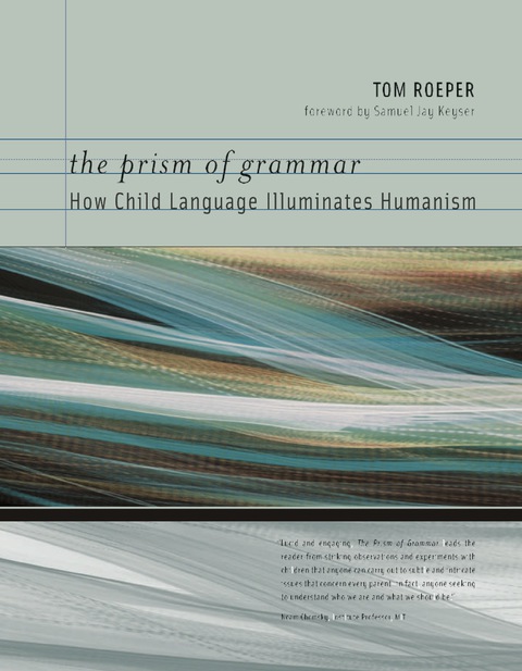 Cover image for book The Prism of Grammar