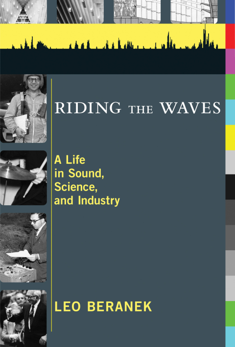 Cover image for book Riding the Waves