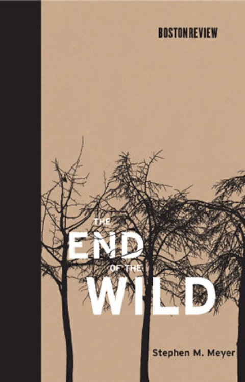 Cover image for book The End of the Wild
