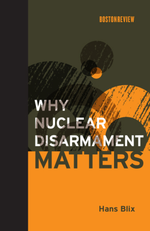 Cover image for book Why Nuclear Disarmament Matters