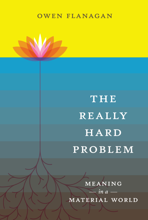 Cover image for book The Really Hard Problem