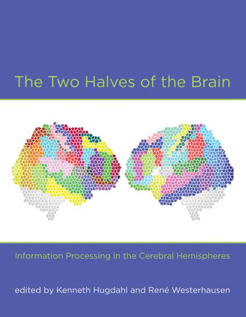 Cover image for book The Two Halves of the Brain