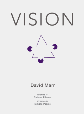 Vision