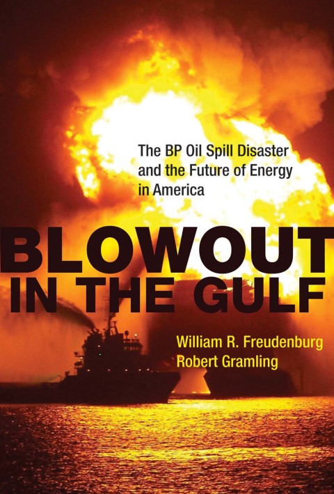 Cover image for book Blowout in the Gulf