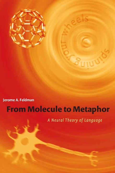 Cover image for book From Molecule to Metaphor