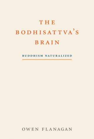 The Bodhisattva's Brain