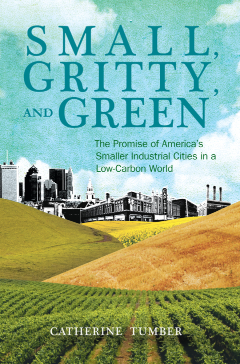 Cover image for book Small, Gritty, and Green
