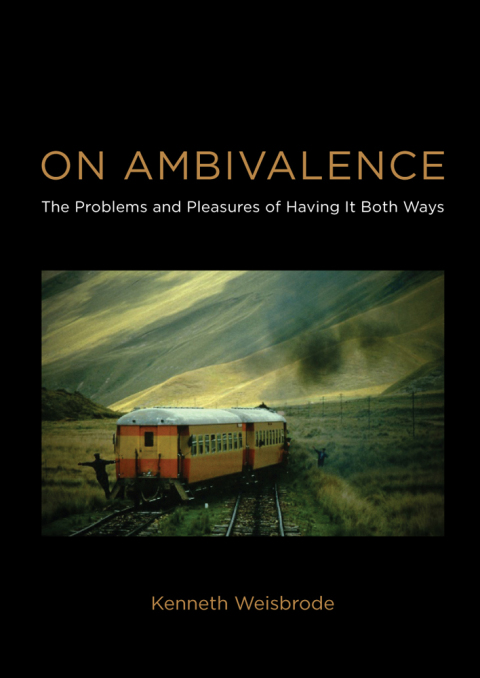 Cover image for book On Ambivalence