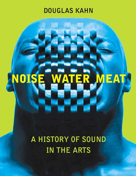 Cover image for book Noise, Water, Meat