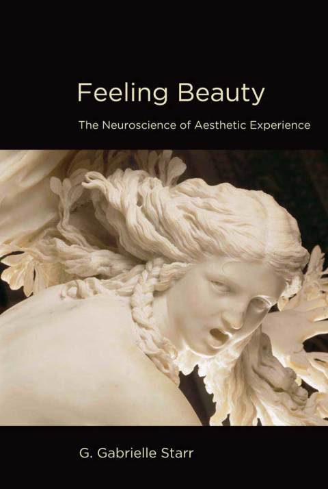 Cover image for book Feeling Beauty