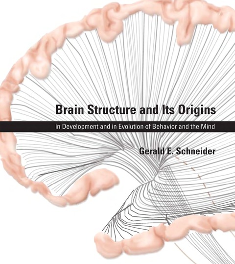 Cover image for book Brain Structure and Its Origins