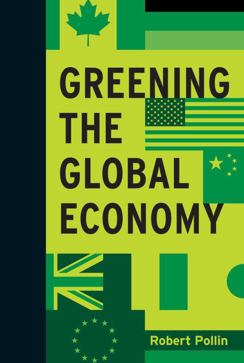 Cover image for book Greening the Global Economy